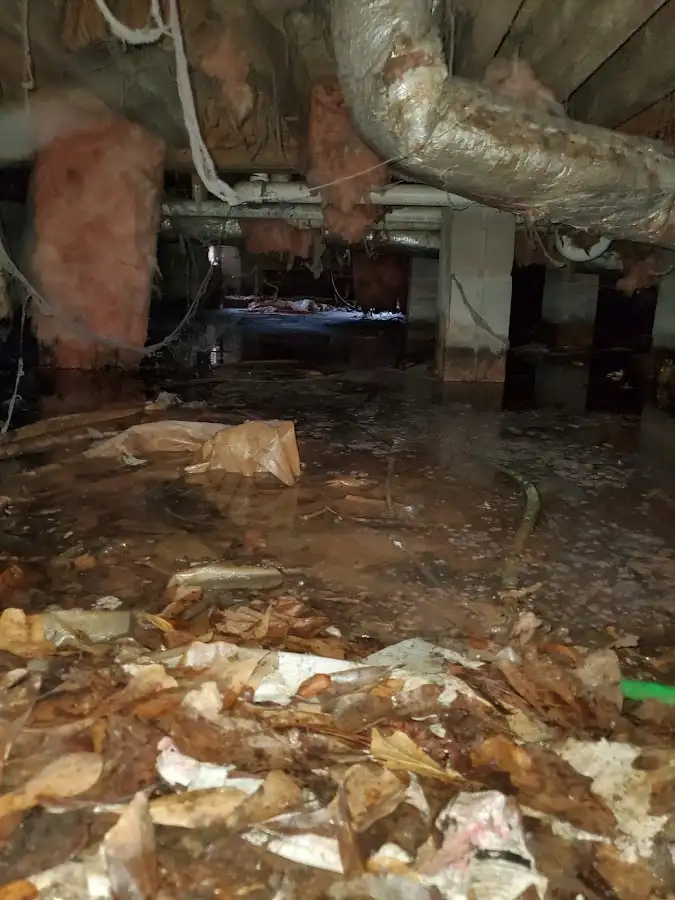 Crawl space flood assessment for Leak Detection & Repair in Four Corners