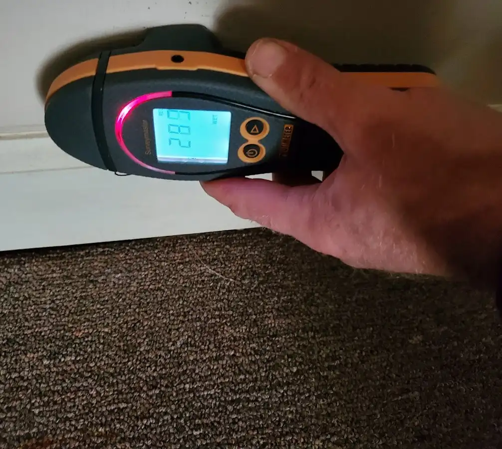 Moisture detection at baseboard during Sewage Cleanup & Sanitation in Four Corners